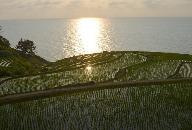 里山