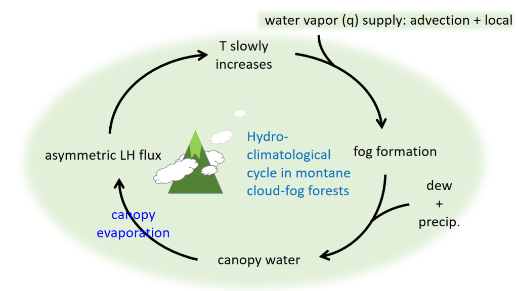 Figure 3. Schematic plot of the hydro-climatological cycle in Chi-Lan Montane cloud-fog forest.